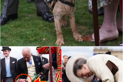 VEGAS IS A ROYALS FAN! — A SMALL GESTURE BY KING CHARLES III WITH THE 2-YEAR-OLD HEARING-ASSISTANCE MEMBER BECOMES THE CENTER OF ATTENTION AT THE ROYAL GARDEN PARTY