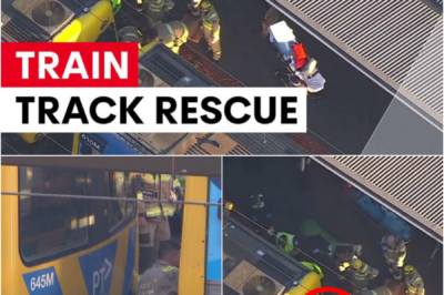 IT HAPPENED IN SECONDS… — YEAR 7 STUDENT HIT BY TRAIN AFTER BACKPACK REPORTEDLY BECAME TRAPP-ED BETWEEN CARRIAGES