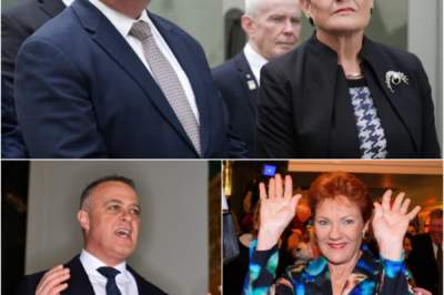 NEVER EVER… — Pauline Hanson FIRES BACK After Tim Wilson Makes Sh0ck Public Declaration