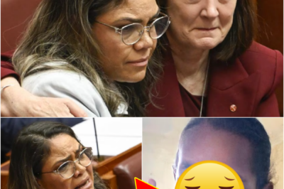 SHE SHOULD STILL BE HERE… — Senator BREAKS DOWN IN EMOTION while speaking as both a lawmaker and the aunt of a 5-year-old girl