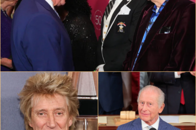 AWKWARD RED CARPET MOMENT — Rod Stewart PRAISES King Charles During U.S. Visit With SHOCKING Comment That Stunned Onlookers