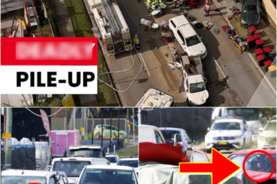 DASHCAM HORR0R — Wrong-Way Sedan Sparks De-adly 10-Car Chain Collision On Canterbury Road, Lakemba, SCENE DESCENDS INTO CHAOS…