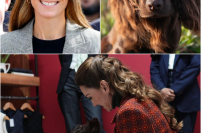 Kate Middleton DRAWS ATTENTION WITH A “SIMPLE TRICK” FOR KEEPING New Puppy Otto OUT OF TROUBLE