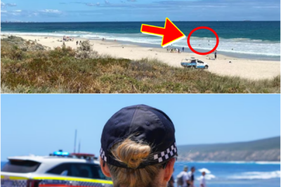 EMERGENCY — Major Search Operation Launched After Swimmer Disappears Off Trigg Beach