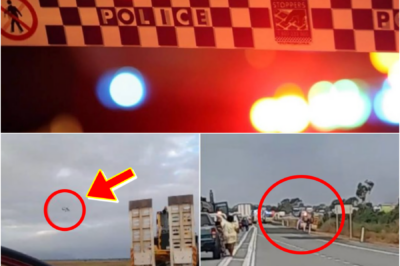 BRUCE HIGHWAY CHAOS ERUPTS — Bus Rollover At Gumlu SHUTS DOWN Major Route, Multiple Passengers Injured