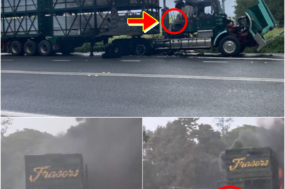 RISKING-HIS-LIFE TRUCK DRIVER RESCUES CATTLE… — Witnesses describe the moment the driver defied all danger and ran into the trailer to save the cattle, SH0CKING THE NSW COMMUNITY