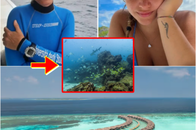 HEARTBREAKING — FIVE ITALIAN TOURISTS D-I-E IN Maldives CAVE DIVING TRAGEDY, COMMUNITY LEFT SH0CKED