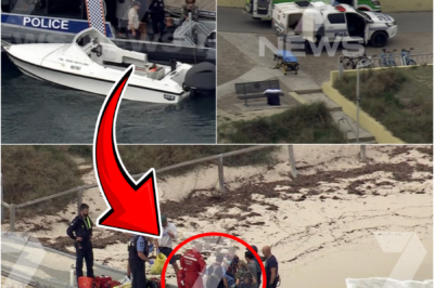 CPR CHAOS ERUPTS — MAN DIES AFTER GREAT WHITE SHARK ATTACK OFF ROTTNEST ISLAND, BEACHGOERS LEFT STUNNED