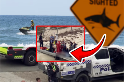 5-METRE SIGHTING REVEALED… — NEW DETAIL EMERGES AFTER 38-YEAR-OLD MAN DI-ES IN H0RRIFIC SHARK ATT-ACK OFF ROTTNEST ISLAND