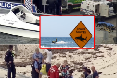 CHAOS UNFOLDED ON THE DOCK… — DESPERATE CPR SCENE AFTER 38-YEAR-OLD MAN DI-ES IN SHARK ATTACK OFF ROTTNEST ISLAND