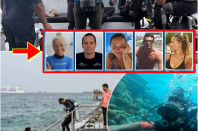 THEY ENTERED THE WATER AT 11AM… — TIMELINE OF MALDIVES DIVE TRAG-EDY NOW SPARKING CHI-LLING QUESTIONS AFTER 5 TOURISTS DI-ED