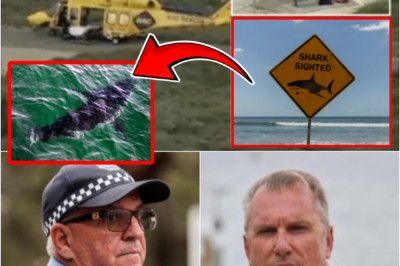 TRAGIC DETAILS ARE NOW EMERGING… — DIVER IN HIS 30s MAULED TO DE-ATH BY 5-METRE GREAT WHITE SHARK OFF ROTTNEST ISLAND