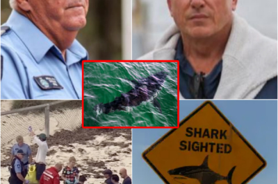 HE JUST WANTED TO SEE THE CORAL… — HEARTBREAKING DETAILS EMERGE AFTER DIVER IN HIS 38s DI-ES IN SHARK ATT-ACK OFF ROTTNEST ISLAND