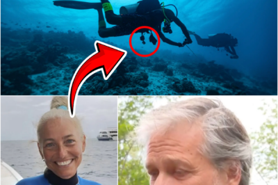 EVERYONE MISSED IT AT FIRST… — THE FINAL WORDS OF AN ITALIAN MARINE BIOLOGIST BEFORE THE MALDIVES DIVE TRAG-EDY ARE NOW LEAVING PEOPLE EMOTIONAL