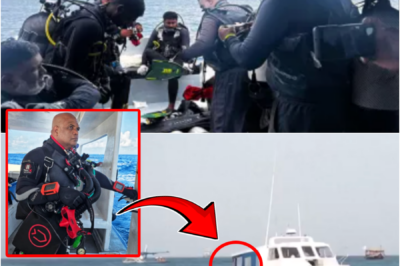 CHI-LLING DETAILS EMERGE — EX-MILITARY DIVER REVEALS NEW INFORMATION IN MALDIVES CAVE TRAG-EDY AFTER “100FT LIMIT” WAS ALLEGEDLY IGNORED