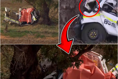 POLICE CONFIRM TRAG-IC DETAILS — NOTORIOUS TEEN OFFENDER DE-AD AFTER STOLEN UTE CRASHES INTO TREE, TWO TEENS FIGHTING FOR LIFE