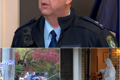 SH0CKING — AN UNUSUAL DETAIL ABOUT THE “CARER” AFTER THE SYDNEY TRIPLE MURD-ER CASE IS NOW RAISING SERIOUS QUESTIONS IN COURT