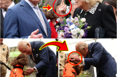 JUST IN — ONE SMALL GESTURE FROM KING CHARLES AT RHS CHELSEA FLOWER SHOW IS NOW SPARKING WIDESPREAD ADMIRATION