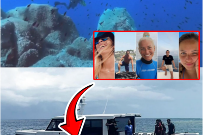 🚨 NEW DETAILS ABOUT THE FINAL TWO DIVERS IN THE MALDIVES CAVE TRAG-EDY EMERGE — LEAVING THE WORLD STUNNED…