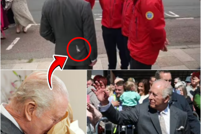 EIGHT-WORD RESPONSE — King Charles III REACTS AFTER BIRD POOS ON HIS JACKET DURING SEASIDE VISIT
