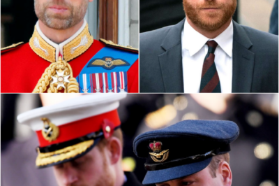 NON-NEGOTIABLE LINE — Prince William SETS A FIRM BOUNDARY AMID ONGOING TENSIONS WITH Prince Harry
