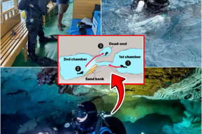 🚨 MALDIVES CAVE MYSTERY TAKES SH0CKING TURN — FINNISH RESCUE DIVERS BELIEVE THEY MAY HAVE FINALLY SOLVED DE-ADLY CASE THAT CLAIMED FIVE LIVES