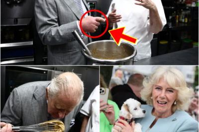 JUST IN — King Charles III SPOTTED SERVING FOOD FOR THOSE IN NEED, ONE DETAIL LEAVES PEOPLE TALKING