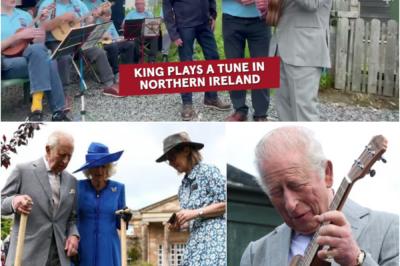 I’M A BIG FAN… — King Charles III SURPRISES MUSICIANS DURING UKULELE JAM SESSION, LEAVING CROWD DELIGHTED