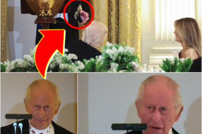 CAUGHT ON CAMERA — King Charles III Says “ONE WORD” During The U.S. State Visit That Has Royal Fans Convinced They’ve Decoded a Hidden Message