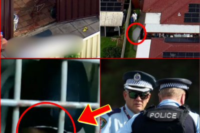 UPDATE — A “HORRIFIC” DETAIL ABOUT THE WEAP0N IN Sydney TRIPLE MURD-ER IS NOW EMERGING