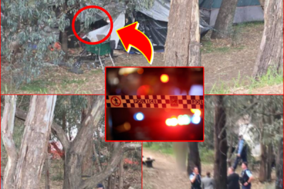 BREAKING NEWS — POLICE SPEAK OUT ABOUT SH0CKING INCIDENT IN Wagga Wagga