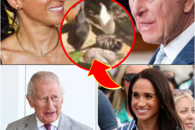Meghan Markle SPARKS DISCUSSION AS THE TIMING IS SAID TO ‘STEAL THE SPOTLIGHT’ FROM King Charles III