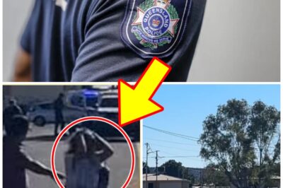Community Outrage Grows After Dog D-i-es During Police Incident As Questions Continue To Mount