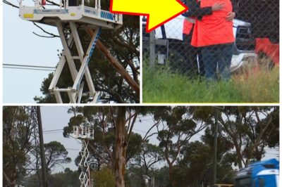 Worker D-i-es After Elevated Platform Reportedly Contacts Power Lines — Investigation Underway