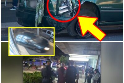 ‘M-A-DMAN’ BEHIND THE WHEEL: Chil-ling New Details Emerge After Greenacre Rampage Was Caught on Camera
