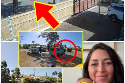 Mother’s Nightmare Takes Extraordinary Turn as Baby Returned Moments Before Dramatic Arrests