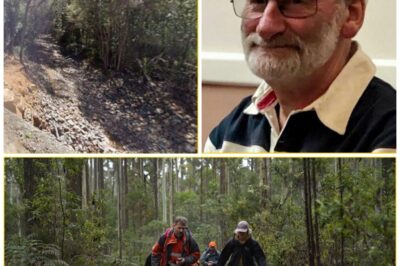 Search For Missing Hiker Peter Willoughby Ends In Heartbreaking Breakthrough After 240 Days