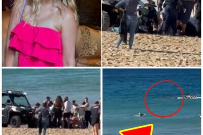 Tragic Shark At=tack at Sydney Beach Leaves Public Searching for Answers After Victim Identification