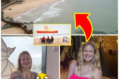 Young Mother’s Family Breaks Silence After T-e-r-rifying Shark At-tack — Emotional Update Revealed
