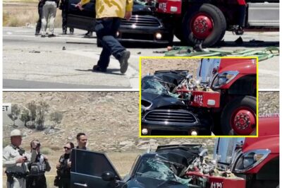 ather and Young Son D-i-e Moments After Encounter With Fire Truck En Route to Forest Fire — Heartbreaking Details Emerge