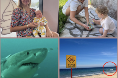 TRULY HEARTBREAKING..! – The devastated family of a young mother mauled by a shark off Sydney’s Coogee Beach has shared an emotional update on her condition.
