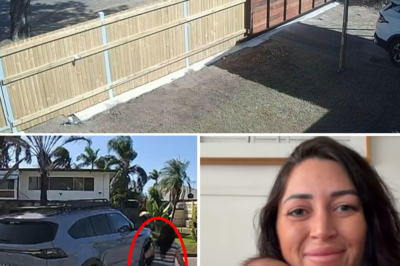10 suspects arrested, 19 charges laid following a brazen car theft involving a young child in Townsville