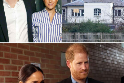 The expert suggested “renting out” the Frogmore Cottage property instead of spending more money on it
