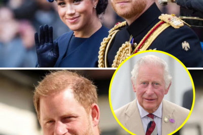 Seven years on: Will Prince Harry attend this week’s Trooping the Colour?