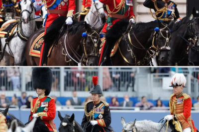 PRINCESS ANNE AND THE SYMBOLISM OF MILITARY ATTIRE AT TROOPING THE COLOUR: WHY SHE DOESN’T WEAR TRADITIONAL ROYAL WEAR