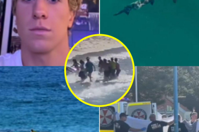 “She was doing everything right”: Lifesaver breaks silence on the moment he confronted a shark to rescue the victim