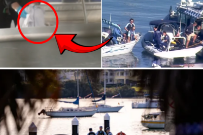Police have revealed chilling details regarding the tragic d3:aths of a father and his daughter aboard a boat in Sydney’s inner west