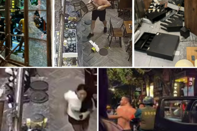 Rummaging through bags, destroying a laptop…: A cafe att@:cked by an Australian tourist suffers heavy damages after just one evening