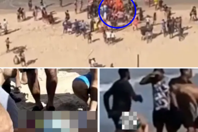 “I heard a strange noise and when I turned round all I could see was bl00d”: Uncle recounts the horrifying moment he witnessed his 11-year-old nephew lose a leg in a shark att@:ck