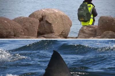 While attempting to haul a shark onto his boat, a 17-year-old was brutally att@:cked during Memorial Day
